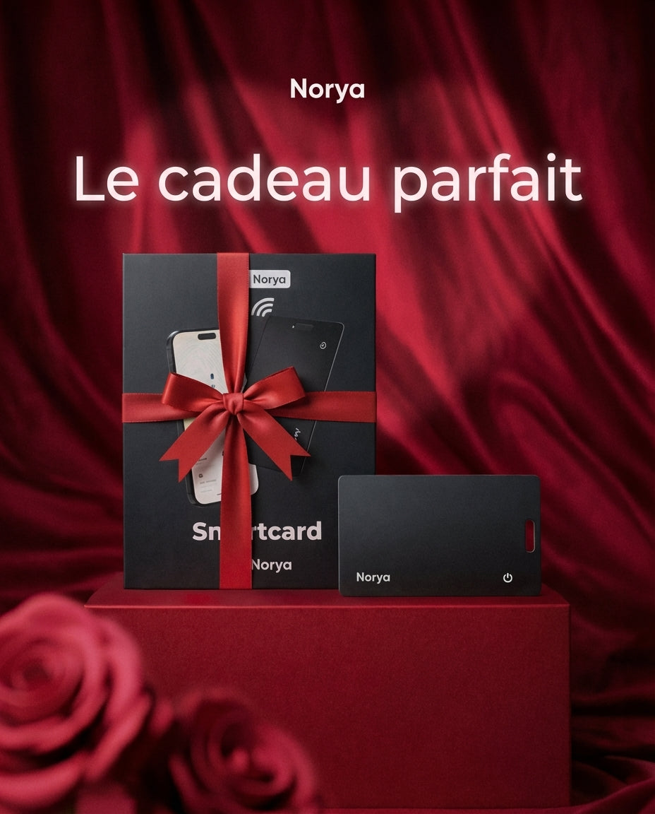 Norya® Carte à puce intelligente