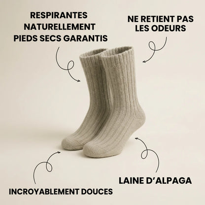 Chaussettes Moelleuses Norya - Coffrets